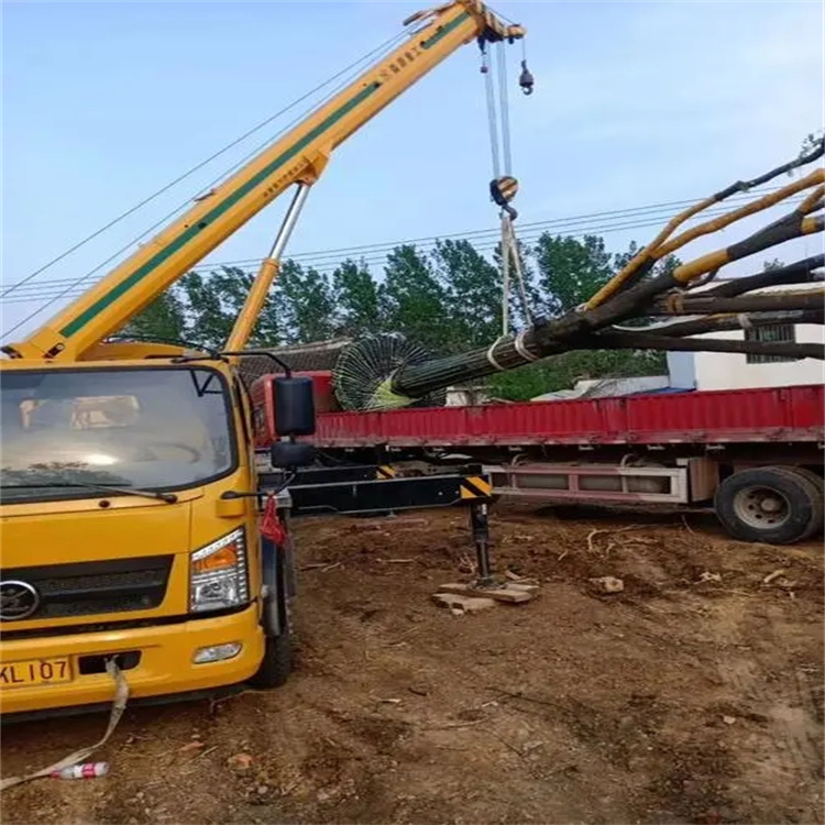 皂市镇100吨吊车租赁费用怎么算？3大关键因素+省钱技巧全解析